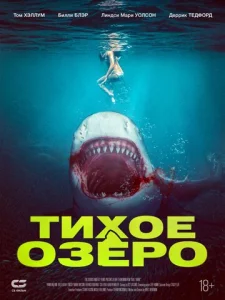  Акула бык 
